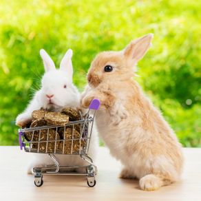conejos con carro de la compra